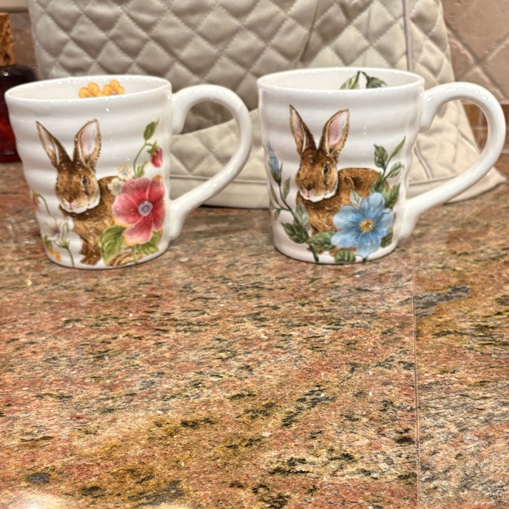 Set of 2 bunny mugs